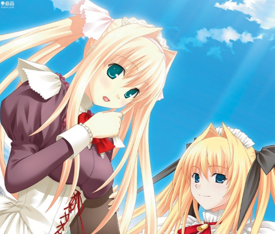 フォセット　パッケージ