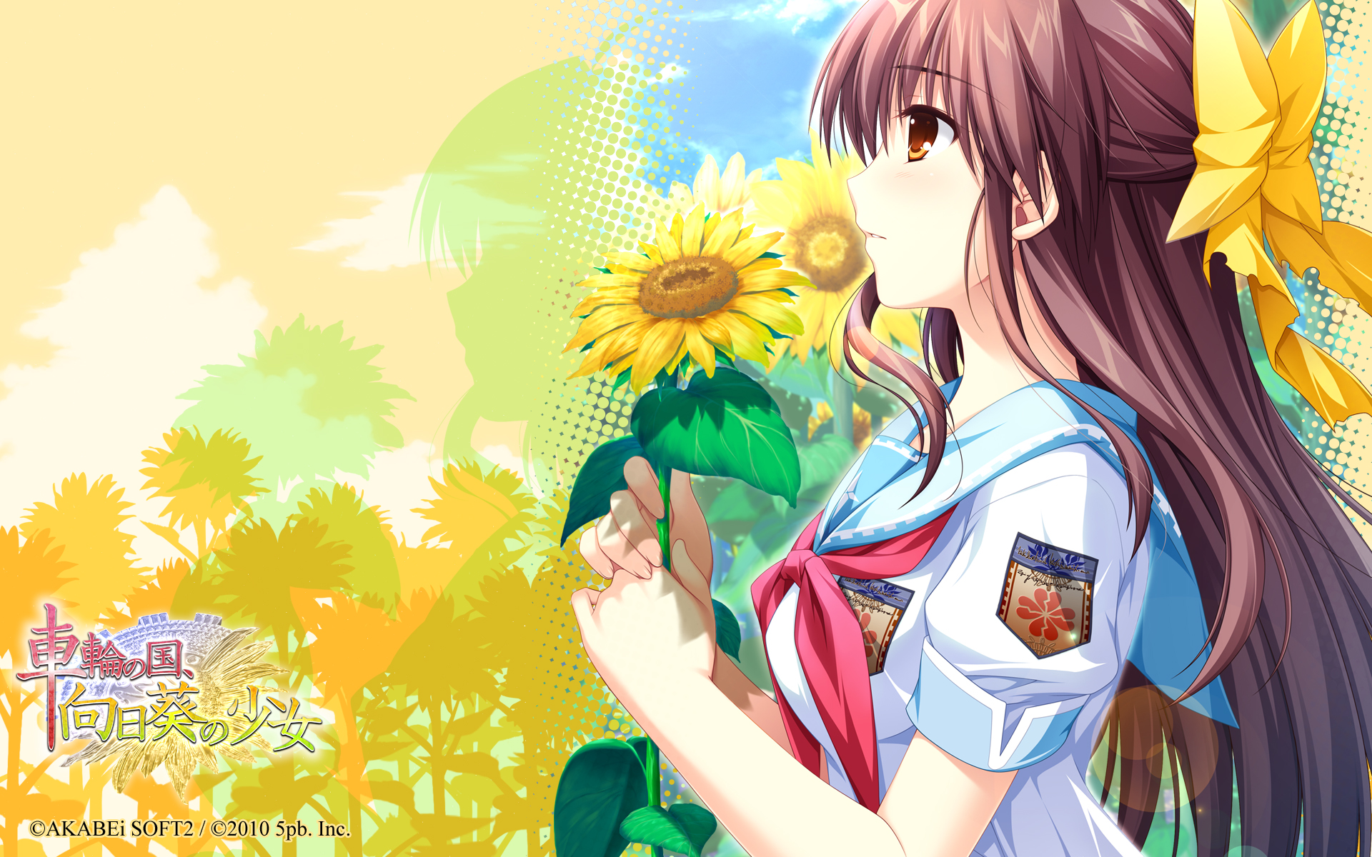 車輪の国 パッケージイラスト